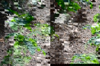 Ontur Butik Otel Ankara - Boutique Class