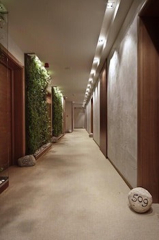 Graffit Gallery Design Hotel