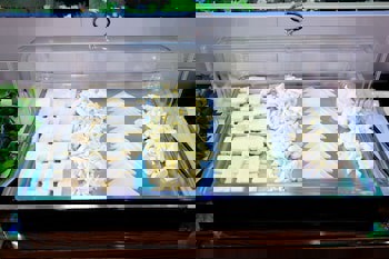 Cheya Residences Nisantasi Deluxe