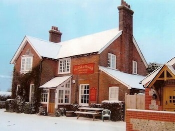 The Oak At Dewlish