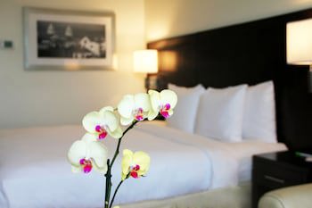 Courtyard By Marriott Panama Metromall