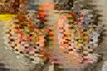 Tria Hotel - Special Class