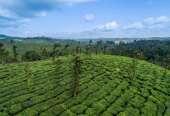 Amritara Ambatty Greens Resort
