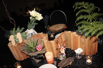 Hotel At Tzaneen