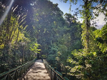 Sutera Sanctuary Lodges At Poring Hot Springs