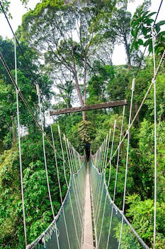 Sutera Sanctuary Lodges At Poring Hot Springs