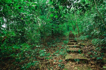 Canzi Cataratas Hotel