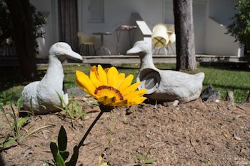 Malemi Organic Hotel galeri fotoğrafı