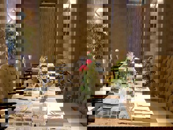 Hotel Momento - Special Class