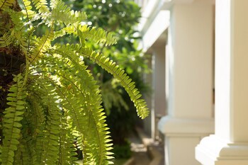 Kalanan Riverside Resort