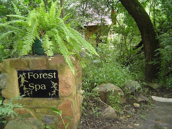 Forest Creek Lodge & Spa