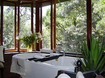 Forest Creek Lodge & Spa