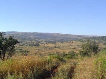 Forest Creek Lodge & Spa