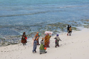 Essque Zalu Zanzibar