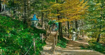Alpin Resort Hotel