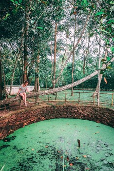 Marari Beach - Cgh Earth