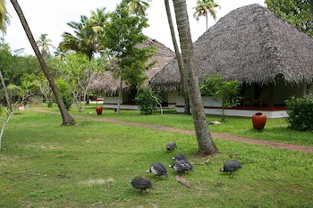 Marari Beach - Cgh Earth