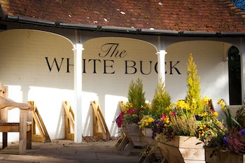 The White Buck