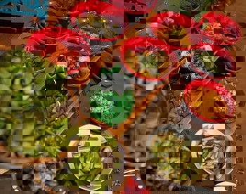 Fraser Place Anthill Istanbul