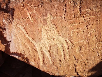 Beyond Wadi Rum Camp