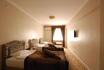 Hotel Mithat