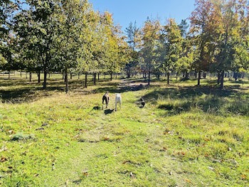 Bella Manga Country Escape