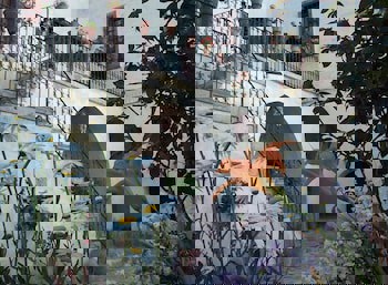 Cappa Villa Cave Hotel & Spa