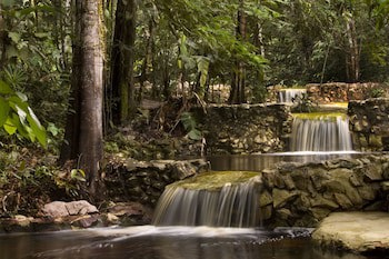 Amazon Ecopark Jungle Lodge