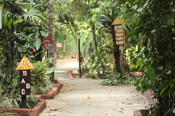 Amazon Ecopark Jungle Lodge