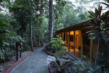 Amazon Ecopark Jungle Lodge