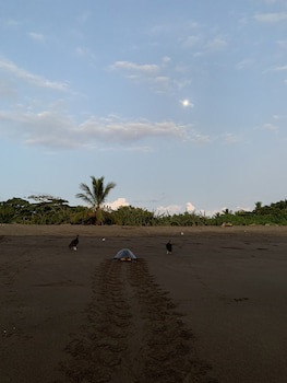 Cafe Playa Negra