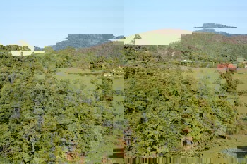 Kaltur Boutique Otel