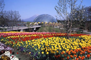 Yonago Washington Hotel Plaza