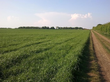 Furtho Manor Farm