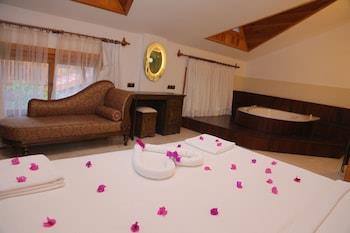 Bc Spa Hotel