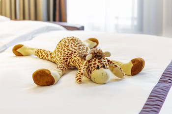 Crowne Plaza Amsterdam South, An Ihg Hotel