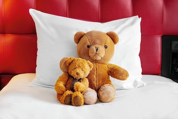 Crowne Plaza Amsterdam South, An Ihg Hotel
