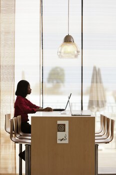 Ibis Malabo