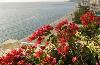 Irotama Del Sol