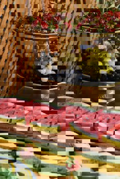 The Marions Suite Hotel