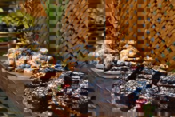 The Marions Suite Hotel