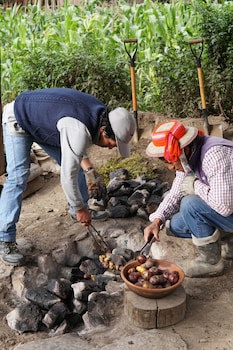 El Albergue Ollantaytambo