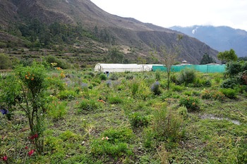 El Albergue Ollantaytambo