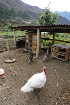 El Albergue Ollantaytambo