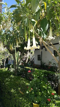 El Albergue Ollantaytambo