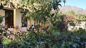 El Albergue Ollantaytambo