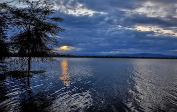 Muthu Lake Naivasha Country Club, Naivasha