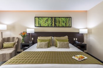 Studio Hotel Boutique