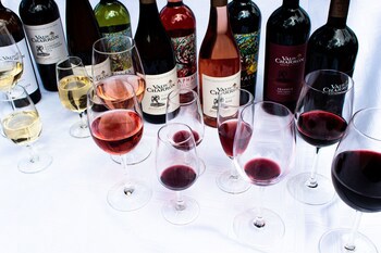 Val Du Charron Guest House & Wine Estate