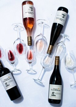 Val Du Charron Guest House & Wine Estate
